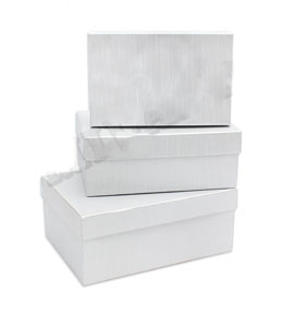 Коробка 23*16*9,5 см. ПП-0582