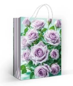 Пакет подарочный (М) 22,7*18 см/ 15.11.02668