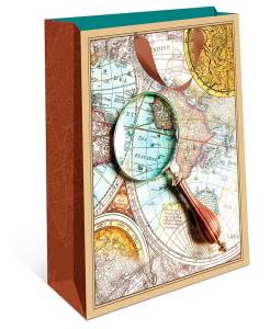 Сумка подар. 1312,280 / 22*18*10см