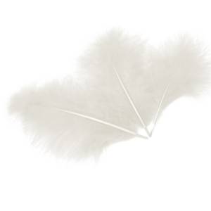 Набор перьев (белый) 12-15 см 30 шт. /6015506