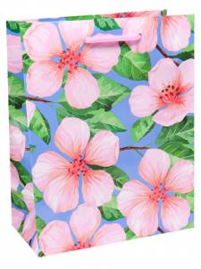 Пакет подарочный M/ПКП-6353 18*23*10 см с ламинацией