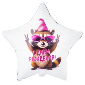 18" РУС ДР Енот в колпаке / Китай 1202-4207