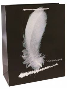 Пакет подарочный M / ПКП-0742 с матовой ламинацией 18*23*10 см.