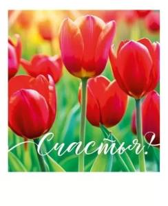 Открытка "Открытая планета" 82095