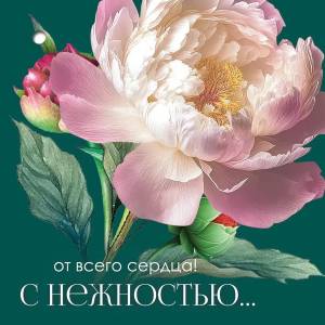 Открытка "Праздник" 2901890