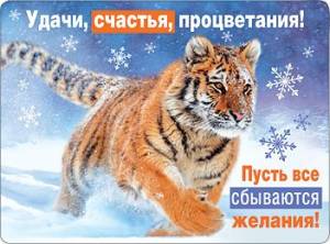 Магнит  "Бегущий тигр" 15.16.00889