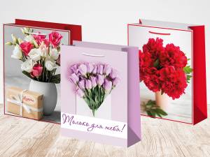 Пакет подарочный 12*15 см/ ч47292