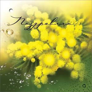 Бирка "Праздник" 2700428