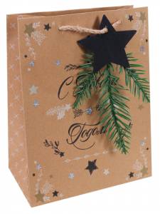 Пакет подарочный ПКП-3758 33*26,7*13,7 см крафт с еловой веточкой