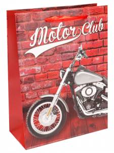 Пакет подарочный М/ПКП-3440 18*24*8,5 см с мат ламинированием