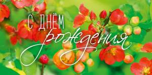 Открытка "А-Д" 0316.636