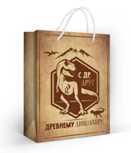 Пакет подарочный (М) 22,7*18 см / 10000269