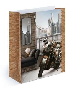 Сумка подар. 15,11,01331/ 22*31*10см