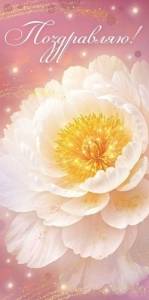 Конверт "Империя поздравлений" 3.0001872