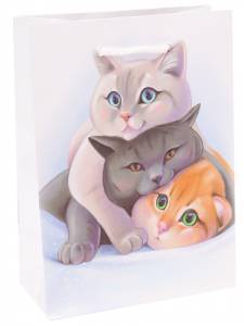 Пакет подарочный S/ППК-6254 11,5*14,5*6 см с ламинацией