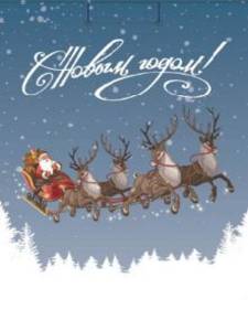 Пакет подарочный ML/ПКП-6672 22*31*10 см