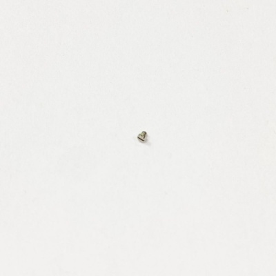 Винт с полукруглой головкой, конец плоский 1819.00 G.SW200 (1)