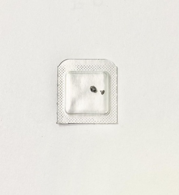 Каре барабана ETA 2824 2836 195.289.522 (1)