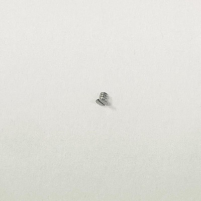 Винт для часов SELLITA SW200 A5161.200-1 (1)