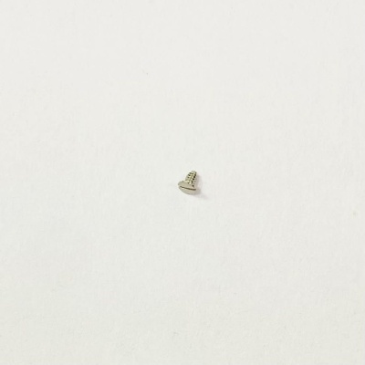 Винт с уступом, конец с цапфой 1831.00.G. SW200 (1)