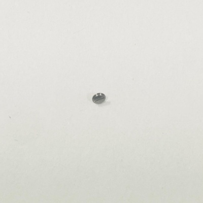 Винт SELLITA SW200 A51497.200-1 (2)