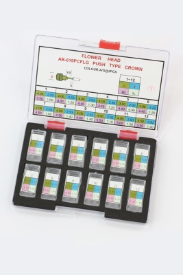 619PCLG 2 