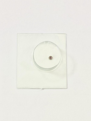 Бушон в сборе (нижний) 3025.7750 ETA7750 (2)