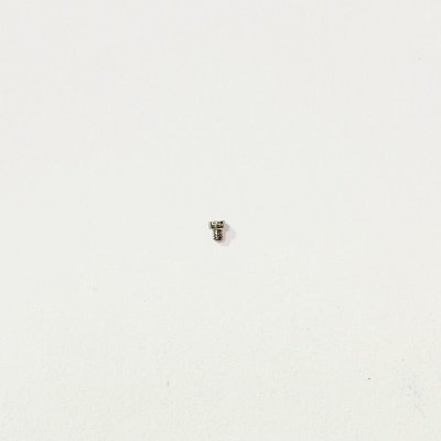 Винт с коричн. головкой, со сферой, конец плоский 1824.00.SW.200-1 (SW102168.A) (2)