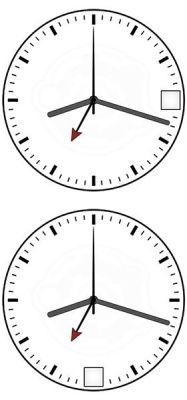 Механизм Ronda  505.24 3H Dual Time