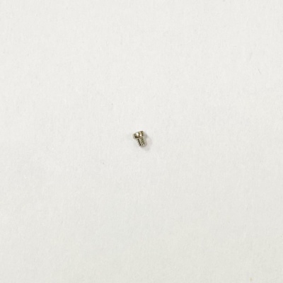 Винт с полукруглой головкой, конец плоский 1819.00 G.SW200 (2)