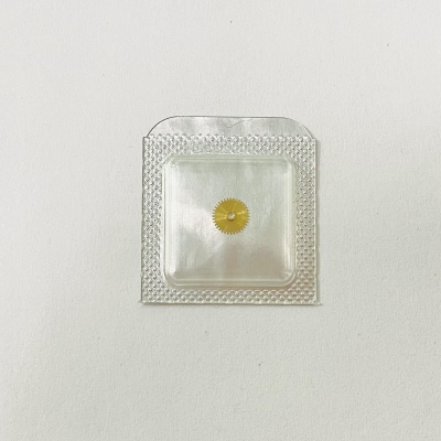 Часовое колесо ETA 7001 (1)