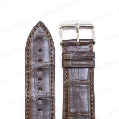 MN 24 р-р, D. Brn, Alligator