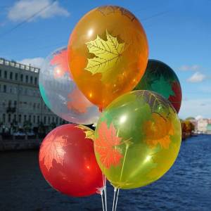 Сет №81с 
