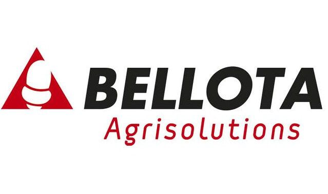 Bellota