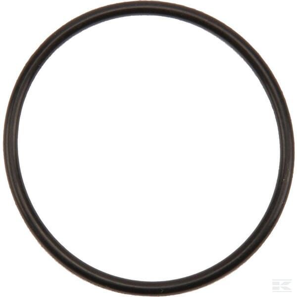 Уплотнительное кольцо