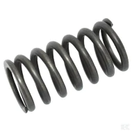 Пружина клапана