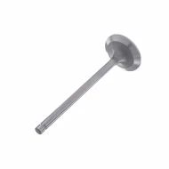 Клапан впускной