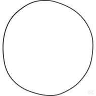 Кольцо круглого сечения