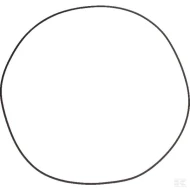 Кольцо круглого сечения