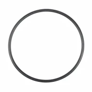 Кольцо уплотнительное