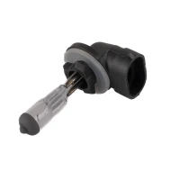 Лампочка 12V 27W H27W/1 PG13