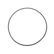 Кольцо уплотнительное