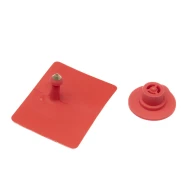 Бирка квадратная с наконечником + мама, красная