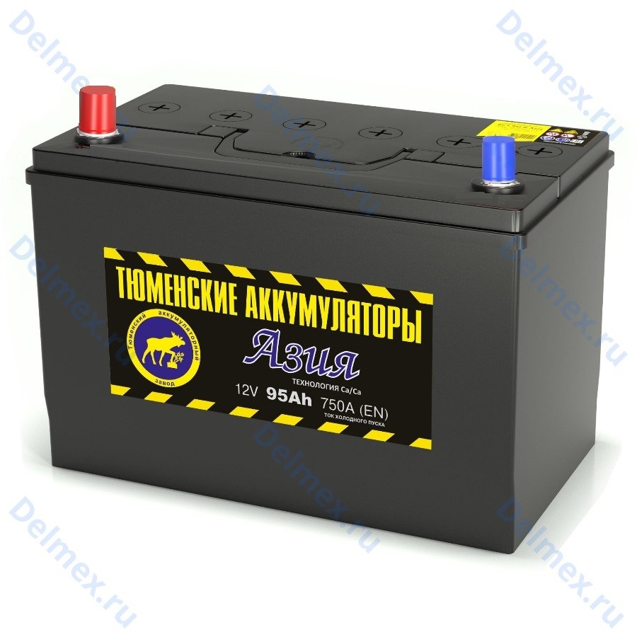 Аккумуляторная батарея Тюменские Аккумуляторы 6СТ-95L АЗИЯ прямой полярности фото 