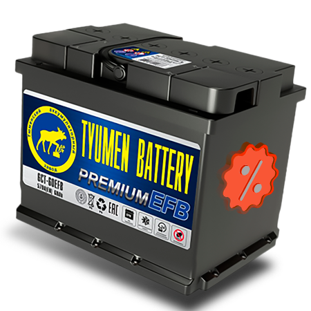 Распродажа товаров Tyumen Battery с 1 февраля в Delmex!