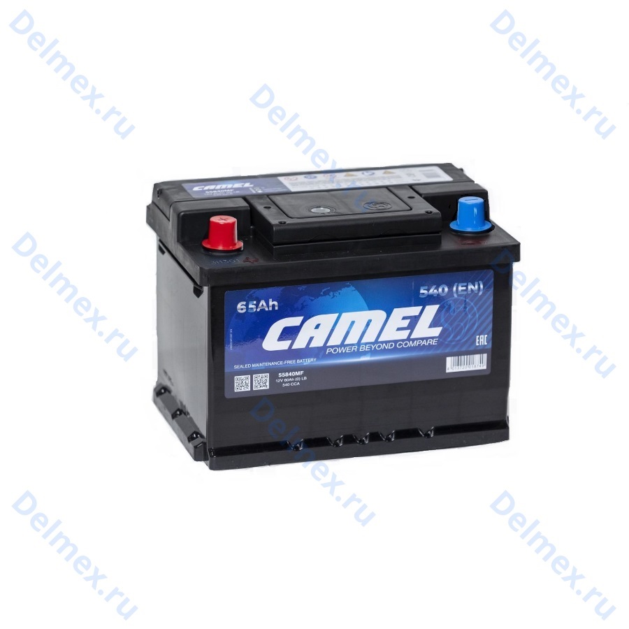 Аккумуляторная батарея 12V 65Ah (1) CAMEL (56560MF) пп фото 