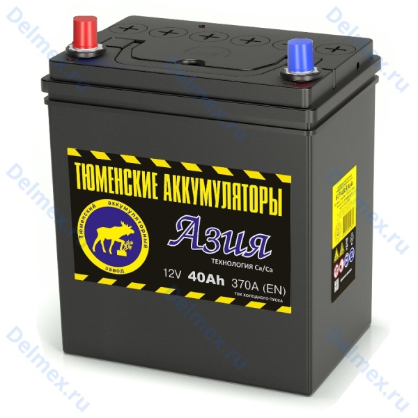 Аккумуляторная батарея Тюменские Аккумуляторы 6СТ-40L АЗИЯ прямой полярности фото 