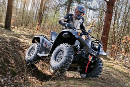 Как выбрать первый квадрицикл: руководство для ответственного покупателя