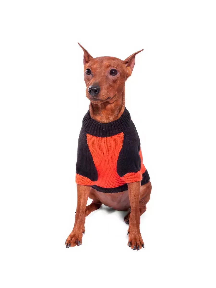 Миниатюра 2