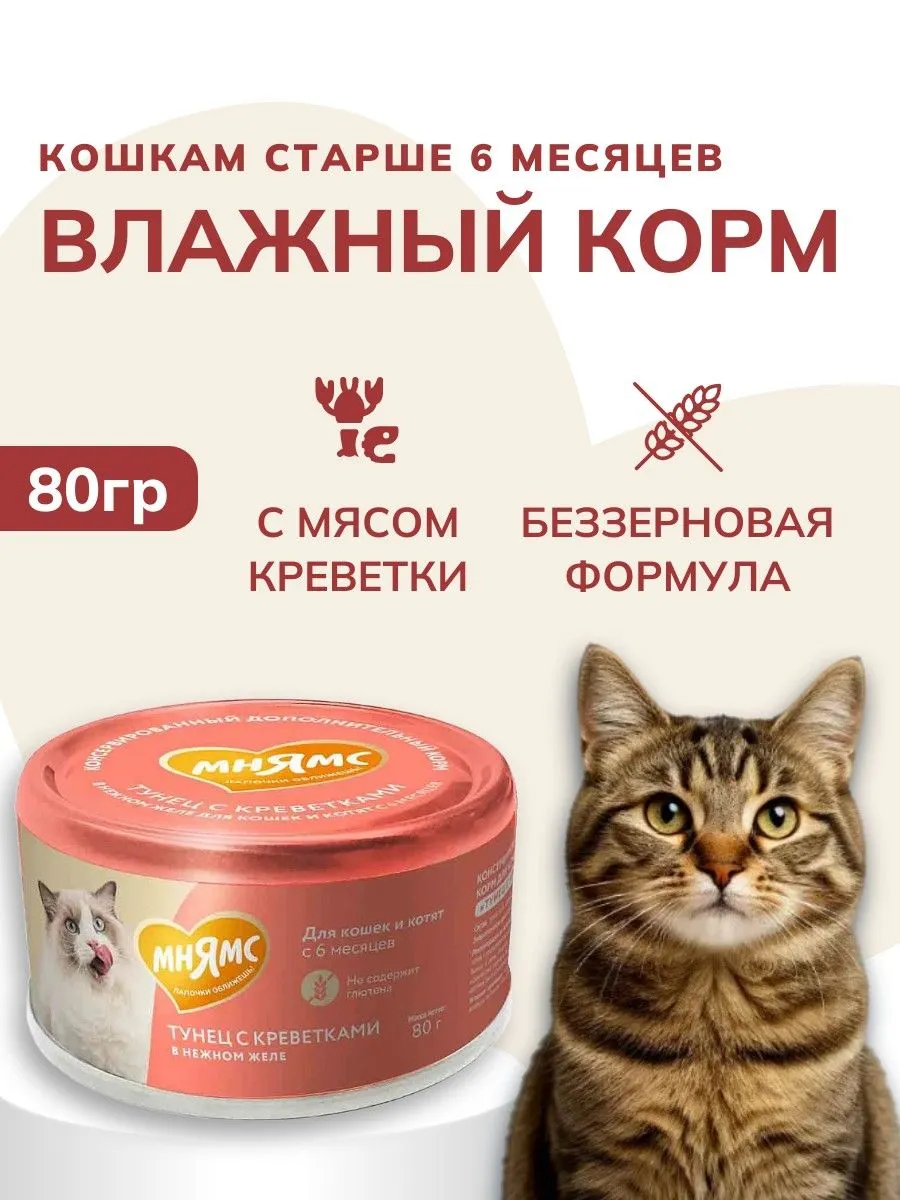 Влажный дополнительный корм Мнямс На каждый день для кошек и котят старше 6 месяцев "тунец с креветками в нежном желе" 80 г